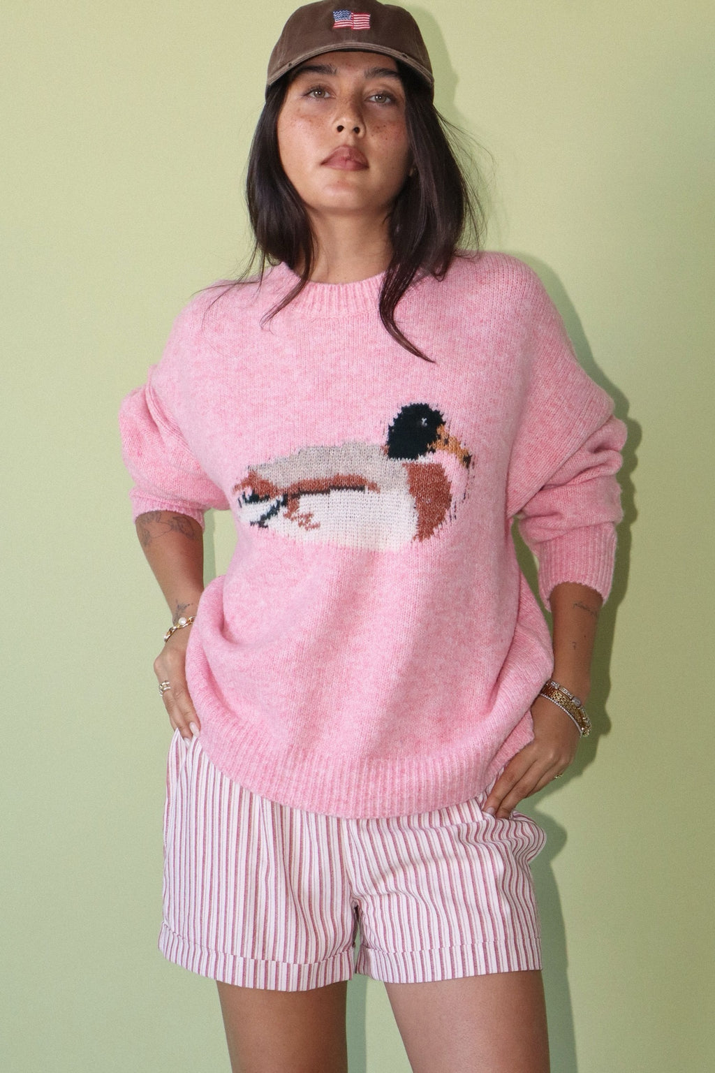 Mallard Duck Knit Sweater – Pink & Sage | Cozy Duck Graphic Sweater